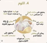 الثوم6.webp