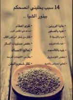 الشيا2.webp
