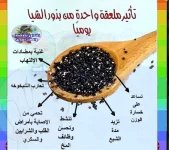 الشيا8.webp
