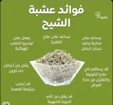الشيح2.webp