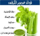 كرفس2.webp