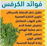 فوائــــــــــــــــــــــد الكرفس