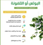 البوتس او التلفونــــــــــــــــــــــة