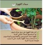 سماد القهوه.webp