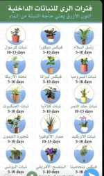 فترات الري للنباتات الداخلية