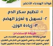 هندباء.webp