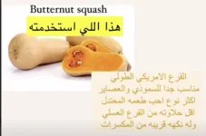 اليقطين2.webp