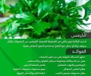 كرفس.webp