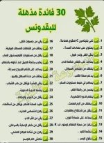 بقدونس2.webp