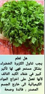 كزبره.webp