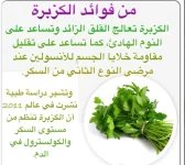 كزيره2.webp