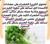 كزبره4.webp