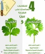كزبره5.webp
