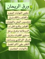 الريحان.webp