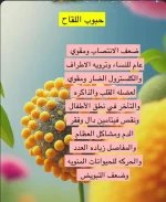 حبوب اللقاح.webp