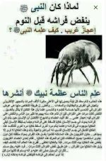 اعجاز نفض الفراش.webp