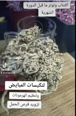 كف مريم2.webp