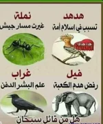 رففض قتلهم.webp