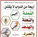 اربعه لا يقتلن.webp اربعه لا يقتلن.webp