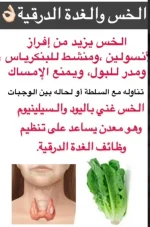 الدرقيه.webp