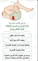 فائده بهذا التمرين.webp