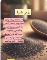 1765038057246.webp