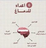 الدماغ7.webp