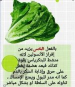 الخس.webp