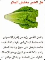 الخس5.webp