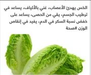 الخس6.webp