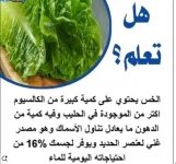 الخس7.webp