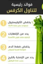 الكرفس2.webp
