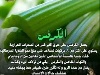 كرفس2.webp