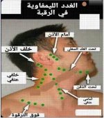 الغدد اللمفاويه.webp