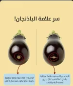 الباذنجان الاسود