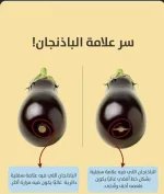 الباذنجان.webp