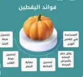 اليقطين 2.webp