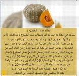 اليقطين7.webp
