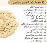 اليقطين8.webp
