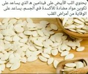 اليقطين10.webp