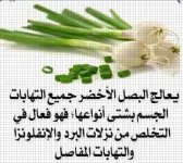 البصل3.webp