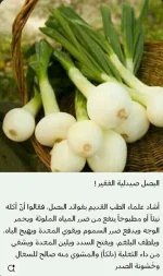 البصل.webp