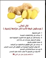 الزنجبـيــــــــــــــــــــــــــــل