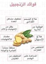 الزنجبيل3.webp
