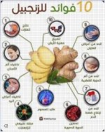 الزنجبيل10.webp