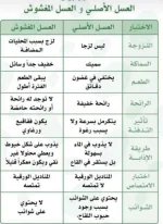 العسل الاصلي والمغشوش.webp