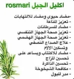 اكليل الجبل ( الروز ماري )