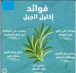 اكليل الجبل2.webp