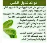 الخس 2.webp