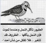 حكمه.webp حكمه.webp